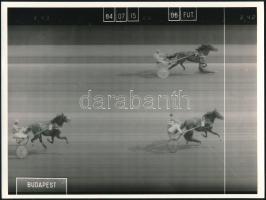 1984, 1986 Pesti Turf 2 db száma + 4 db fotó Jágó nevezetű lóról, 12×9 és 24×17 cm közötti méretekbe...