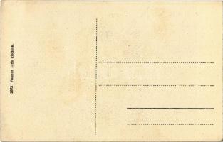 Parád-fürdő, üveggyár. Pauncz Illés kiadása