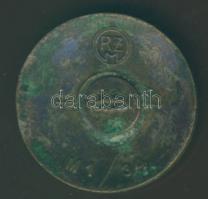 Német 3. Birodalom "NSDAP" pártkitűző zománcozott tű hátul letörve T:2(tűhiány)