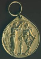 Német Birodalom/Császárság 1916. Br háborús érdemérem T:2