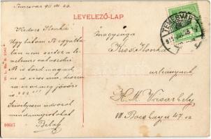 1911 Buziásfürdő, Buzias; gyógykert. W.L. Bp. N. 2046. / spa park (EB)