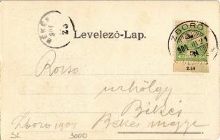 1904 Zboró, Zborov; Rákóczi vár. Kiadja Salgó Mór / Zborovsky hrad / castle (EK)