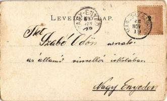 1899 Mihalovich Ödön zeneszerző, zenepedagógus, a Zeneakadémia igazgatója 1887-1919 között. Irodalmi...