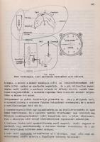 Jereb Gábor-Szalma János: A vitorlázórepülés iskolája. Bp.,1963, Műszaki. Kiadói papírkötés, kopott ...