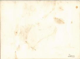 Biehn János kispesti Aszfalt és kátrány vegyitermékek gyára MÁV (Magyar Királyi Államvasutak) R 511,...