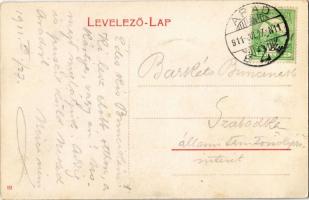 1911 Arad,  Szabadság tér, P. János üzlete, piaci árusok / square, shops, market vendors