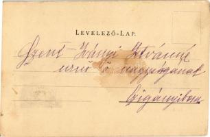 1900 Brassó, Kronstadt, Brasov; Marktplatz, Ev. Kirche / vásártér, piaci árusok, evangélikus templom...