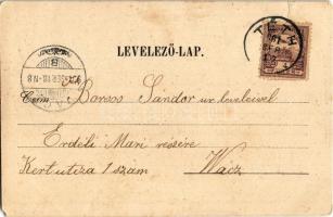 1901 Tét, Első téthi gőzmalom, Szolgabírói hivatal, Kisfaludy Károly szülőháza. Art Nouveau, floral ...