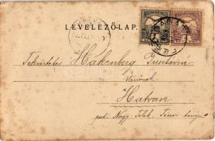 1902 Dabas, Halász kastély, Római katolikus templom. Kiadja Langfelder Gyula. Art Nouveau, floral (f...