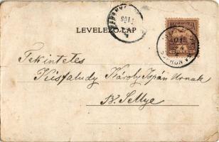 1901 Mihályi, Miháli; Ostfy kastély, Fiáth kastély, Római katolikus templom, Nagyvendéglő, étterem, ...