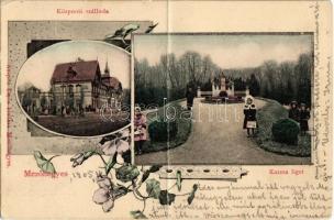 1905 Mezőhegyes, Központi szálloda, Kozma liget, park. Kiadja Auspitz Lajos. Art Nouveau, floral (fa)