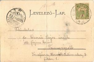 1905 Mezőhegyes, Központi szálloda, Kozma liget, park. Kiadja Auspitz Lajos. Art Nouveau, floral (fa...