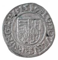 1519K-G Denár Ag "II. Lajos" (0,55g) T:1-,2
Hungary 1519K-G Denar Ag "Louis II"...
