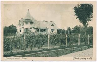 Balatonalmádi, Weninger nyaraló, villa (ázott / wet damage)