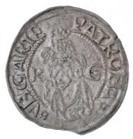1518K-G Denár Ag II. Lajos (0,59g) T:1- Hungary 1518K-G Denar Ag Louis II (0,59g) C:AU Huszár: 841., Unger I.: 673.m