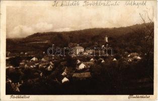 Törökbálint, madártávlat. Engl Károly fényképész kiadása (ázott / wet damage)