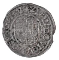 1521K-A Denár Ag "II. Lajos" (0,63g) T:1- kis ph.
Hungary 1521K-A Denar Ag "Louis II...