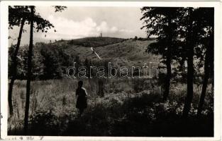 Sopron, a Várhely a Muck felől. Foto Diebold