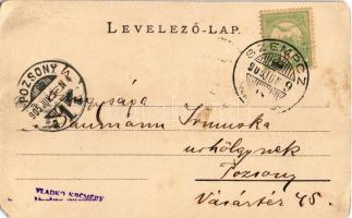 1905 Szenc, Szempcz, Senec; Fő tér, Szentháromság szobor, üzletek. Szecessziós virágos litho keret. ...