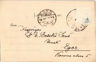 1898 Szepesváralja, Spisské Podhradie;  Irgalmasok temploma, Püspöki székhely és székesegyház (Szepe...