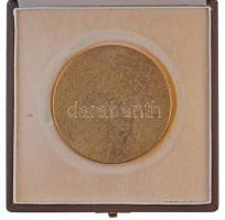 DN "MÁV TB Építési Főnökség" sárgaréz plakett (65mm) T:1-