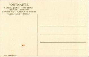 Couple art postcard. T.S.N. S. 684. litho