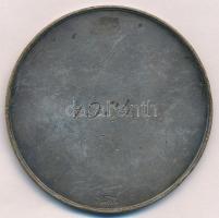 Debreczeny Tivadar (1890-1976) 1934. "Debrecen a Magyar Fotókultúráért" ezüstözött Br emlé...