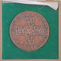 Asszonyi Tamás (1942-) 1981. "1881-1981 / 100 éves a Magyar Vöröskereszt" Br emlékplakett,...