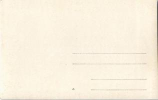 Öregfiúk cserkész tábora / Adult scout men. photo