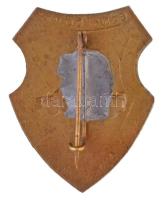 ~1960-1970. "Bánki Donát Ip. Tan. Intézet" zománcozott fém jelvény (25x32mm) T:1-