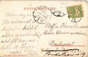 Siófok, park részlet. Hirsch Mór kiadása 200. (EK)