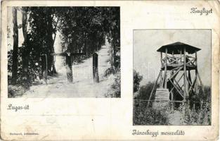 1906 Budapest XII. Zugliget, Lugas út, Jánoshegyi messzelátó (EK)