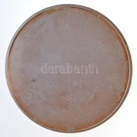 Csóka Zsuzsa (1962-) DN "Tessedik Sámuel Főiskola" ezüstözött fém emlékérem (70mm) T:1- ki...