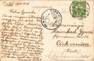 1910 Makó, Délmagyarországi Közművelődési Egyesület diák otthona. W. L. (?) 8788. (EB)