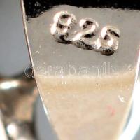 Ezüst(Ag) katicás fülbevalópár és medál, jelzett, d: 1,5 és 1 cm, bruttó: 2,9 g