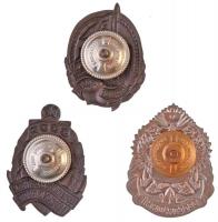 Szovjetunió / Oroszország DN 3db klf tengerészeti kitüntetés T:2
Soviet Union / Russia ND 3pcs of d...