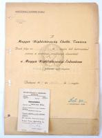 1950. A Magyar Népköztársasági Érdemérem arany fokozatának adományozói oklevele, mellette viselésre jogosító igazolvány. Szélén szakadás.