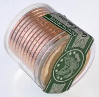 Amerikai Egyesült Államok 2007P 1$ "John Adams" (12x) "DANBURY MINT" zárjegyes m...