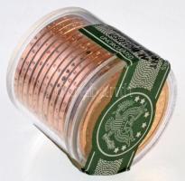 Amerikai Egyesült Államok 2008P 1$ "Martin Van Buren" (12x) "DANBURY MINT" zárje...