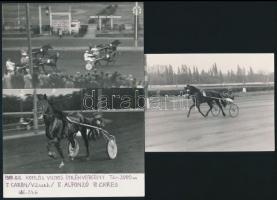 Vilcsek Károly lovai és a hozzá kapcsolódó turfok, 4 db fotó, 9×12 és 13×18 cm + 2 db Turf