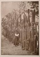 Dr. Gáspár Ferencz: A Föld körül. Összesen  I.-V. Kötet. A VI-VII. Kötet nélkül. Vámbéry Ármin elősz...