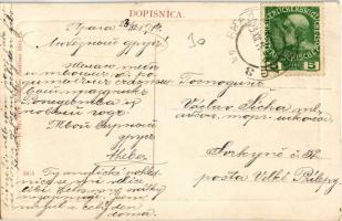 1914 Zagreb, Zágráb; Sanatorij / Szanatórium. W. L. Bp. 7479. / sanatorium (EB)