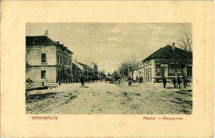 Temesrékas, Rékás, Recas; Fő utca. W. L. Bp. 6734. / main street