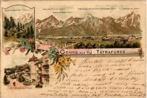 1899 Újtátrafüred, Neu-Schmecks, Novy Smokovec; Nagy Tarpataki völgy, csúcsok / valley, mountain peaks. floral, litho (EK)