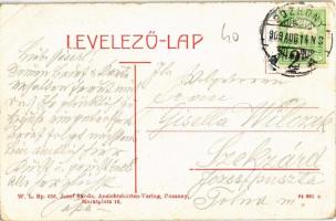 1909 Pozsony, Pressburg, Bratislava; látkép, vár. W. L. Bp. 656. Kiadja Josef Skoda / general view, ...