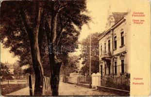 1907 Pöstyén, Pistyan, Piestany; Parksor. W. L. 882. / Parkzeile / street vew, villa (EK)