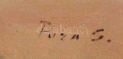 Púza Sándor (?-?): VIrágos-gyümölcsös csendélet, olaj, vászon, jelzett, fa keretben, 59×49 cm