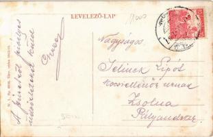 1917 Szinérváralja, Seini; Korona szálloda, piaci árusok, Fried S. üzlete. W. L. Bp. 6016. / hotel, ...