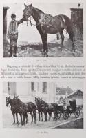 Pettkó-Szandtner Tibor: A magyar kocsizás. Bp., 1984, Múzsák. Kiadói kissé kopott műbőr-kötésben. 19...