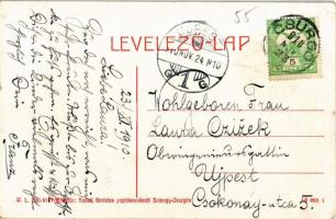 1910 Csurgó, Somogy-Csurgó; Csokonay utca, Medvessy, Horváth József üzlete. W. L. Bp. 6137. Kiadja K...